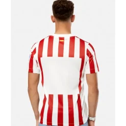 Adults Atletico Madrid Home Jersey-Nike Discount