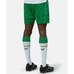 Adults Ireland Third Shorts-Castore Fashion