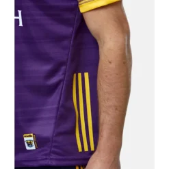 Adults Wexford Home Jersey 24/25-O'Neills Online