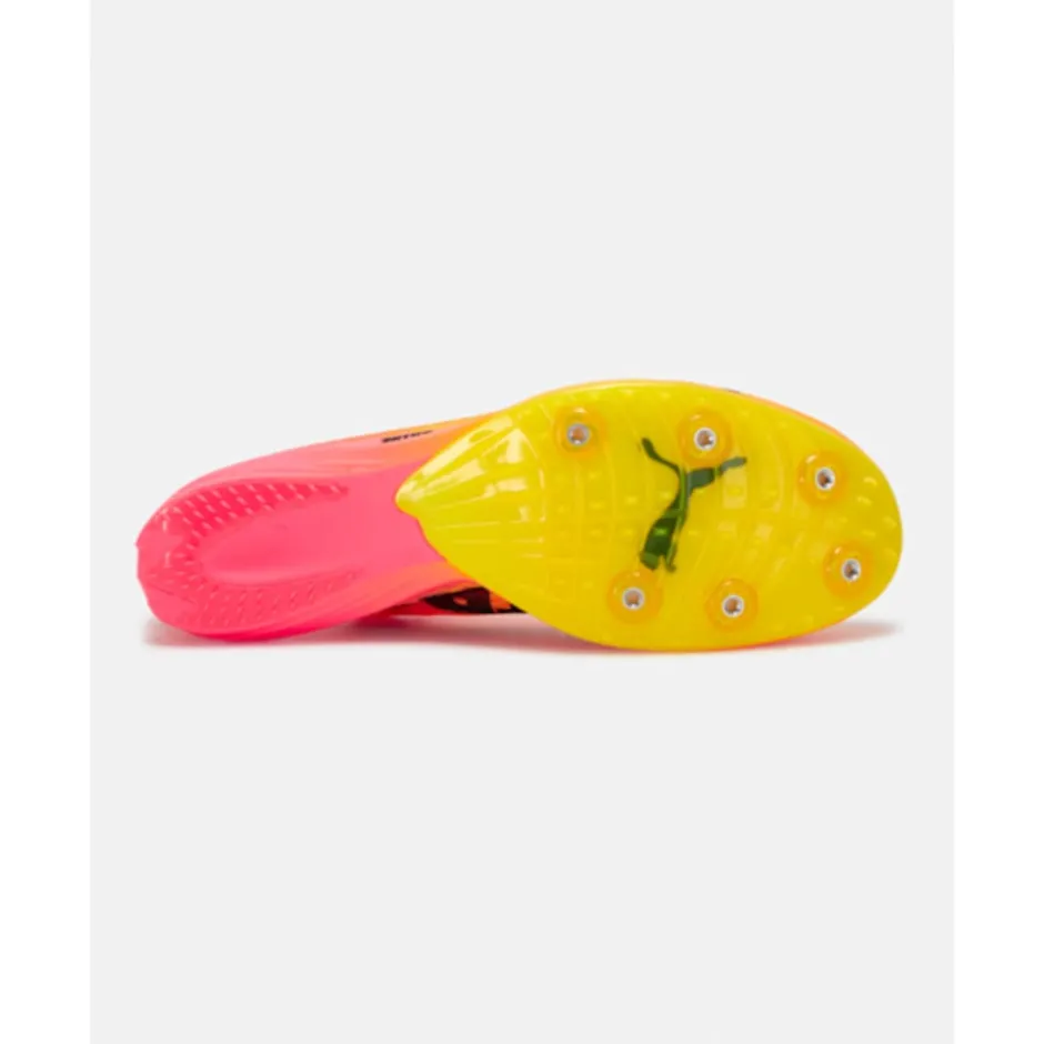 evoSPEED Distance Nitro Elite+ 4 Track Spikes-Puma Discount