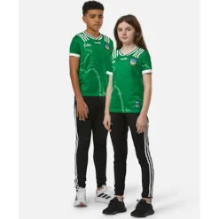 Kids Limerick 24/25 Home Jersey-O'Neills Fashion