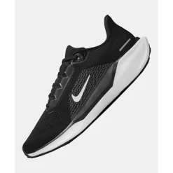 Mens Air Zoom Pegasus 41-Nike Online