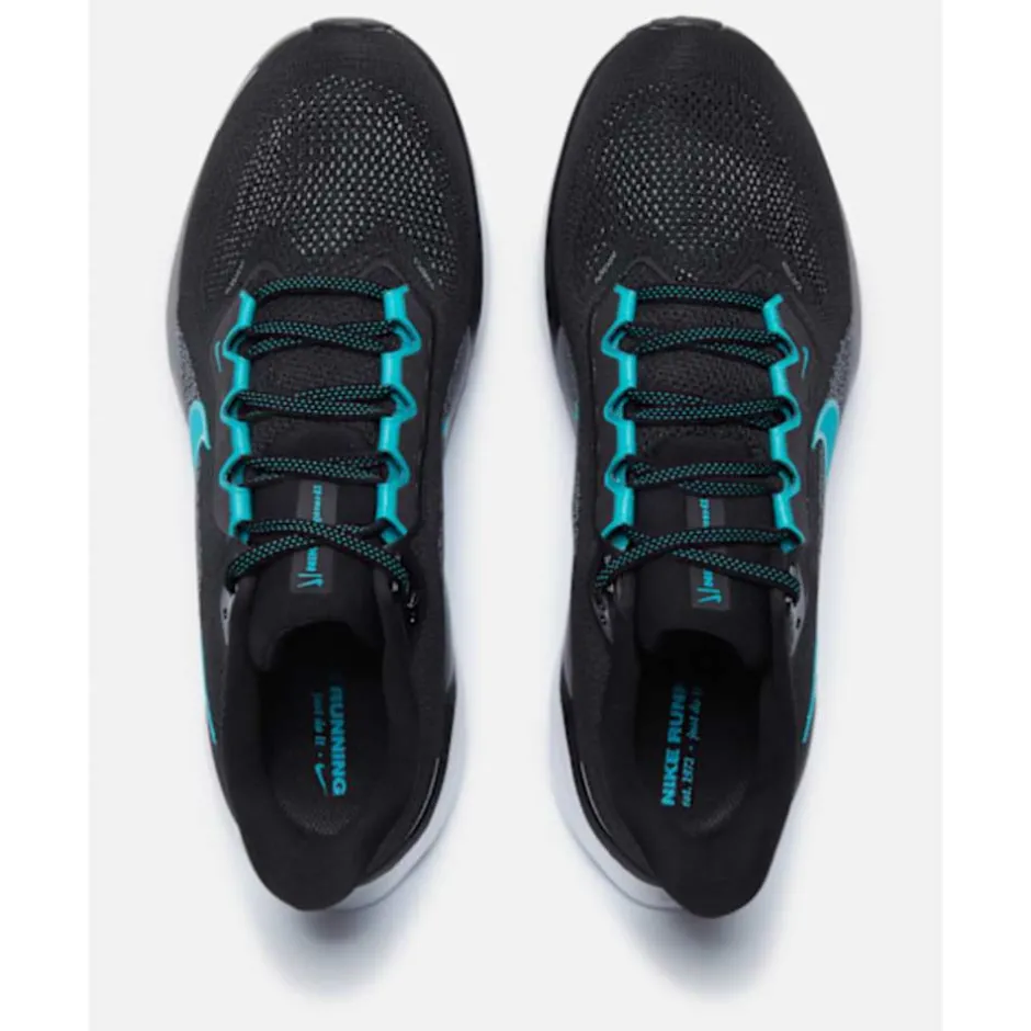 Mens Pegasus 41-Nike New
