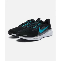 Mens Pegasus 41-Nike New
