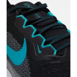Mens Pegasus 41-Nike New