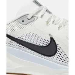 Mens Pegasus 41-Nike Online