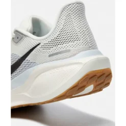 Mens Pegasus 41-Nike Online