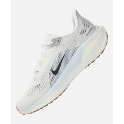 Mens Pegasus 41-Nike Online