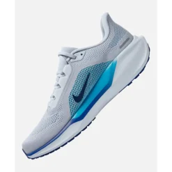 Mens Pegasus 41-Nike Outlet