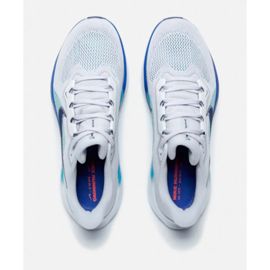 Mens Pegasus 41-Nike Outlet