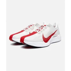 Mens Pegasus Plus-Nike Sale