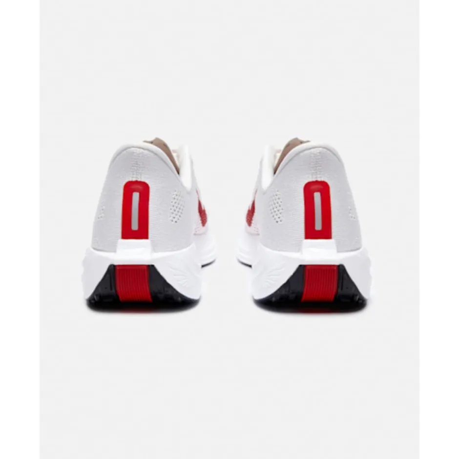 Mens Pegasus Plus-Nike Sale