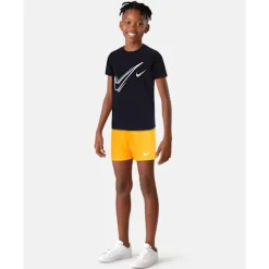 Older Kids 4 Inch Volley Shorts-Nike Fashion