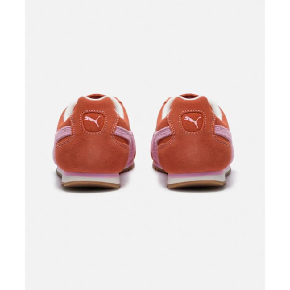 Womens Arizona Suede-Puma Outlet